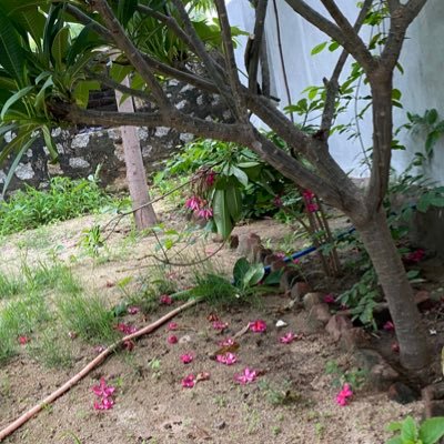 JitendraSain_9's profile picture. 🇮🇳 I शिक्षा संघर्ष सेवा।