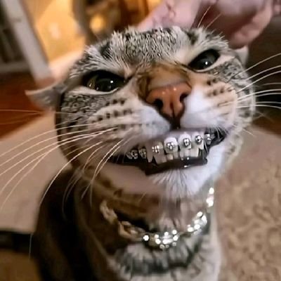 midoriyai17's profile picture. 21 | ♂️

lulu when horny acc