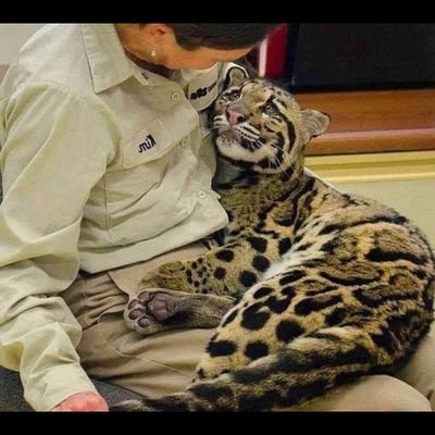 xeeyush's profile picture. Delhi School of Economics-2027 | Interested in STEM | Hunter-gatherer.