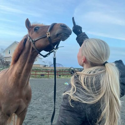 claiu4w7v's profile picture. Collector of unforgettable evenings.