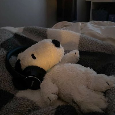 l4ckyy_'s profile picture. 19 | Esports Director @100X35Esports