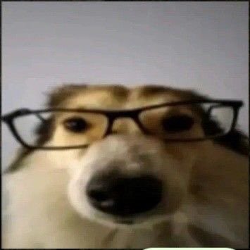 _luats's profile picture. 