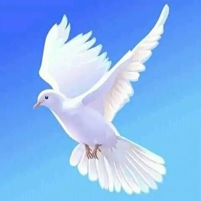 freetanganyika's profile picture. TANGANYIKA ndio nchi yangu .  ilipata uhuru mwaka 1961.   naamini  tunastahili kuwa na katiba yetu  , Raisi wetu na Bunge letu  ili kulinda Rasilimali zetu