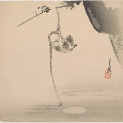 InstinctTrades's profile picture. 📈📉🤿🥁🎬🌱🎭