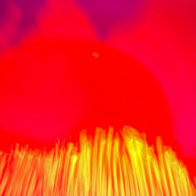 kodjo707's profile picture. big dreamer #diy