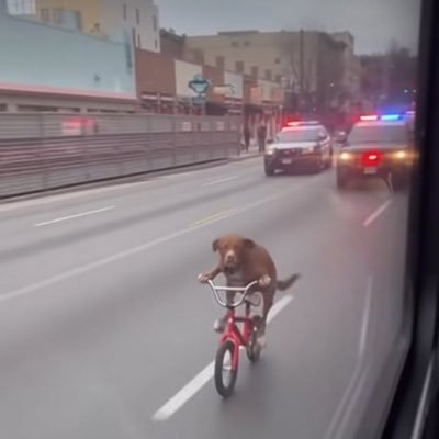 Blockfinancial0's profile picture. 