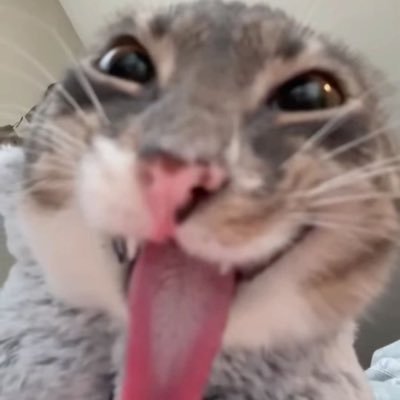 sexemestane's profile picture. Randle cycle mağduru, n=1