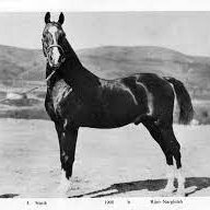 Forepeak60's profile picture. 