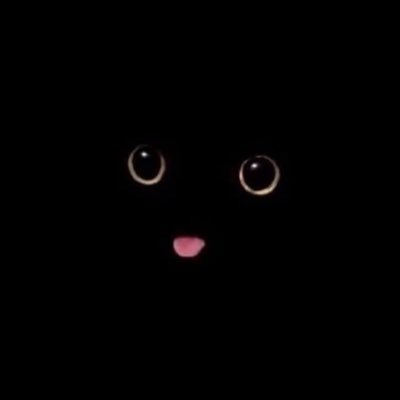 elegonzg's profile picture. sin mujeres no hay revolución