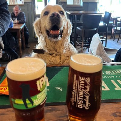 KeithRi48760131's profile picture. I contribute in payments to the unemployed and immigrants via HMRC.