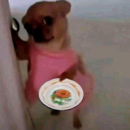 targeryen_35014's profile picture. 📍sidoarjo - can't host