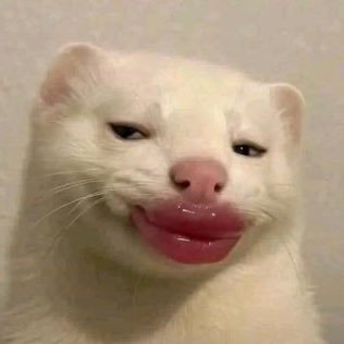 Tenii0la's profile picture. Becoming everything I used to pray for🦚|| Learning Data Analysis|| Duolingo🦉(aprendiendo español).