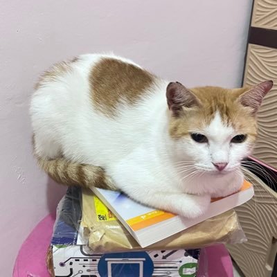 avocudIIe's profile picture. splaoboloqlq