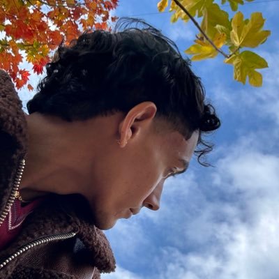 JoshuaXManuel's profile picture. gaga • selina • laura palmer • mileena