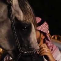 مشاري أل مرشد (@al_y60) 's Twitter Profile