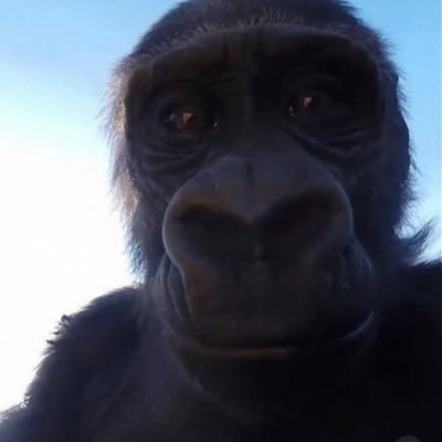 tz_patriot's profile picture. 