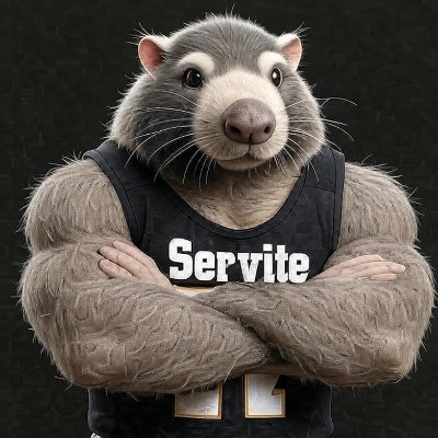 reachMole's profile picture. Retired, Reformed & Irrelevant | Husband of One Wife | Father of Two | Notre Dame Football | Servite Football https://t.co/6tFlVKxCsg