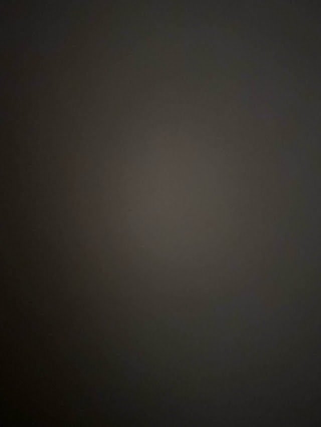 Updog41949828's profile picture. 