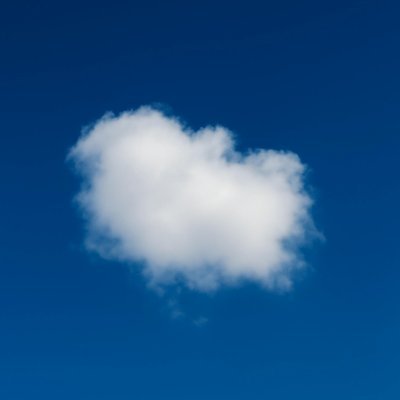 User's profile picture. 