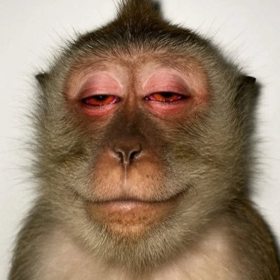 daismetaX's profile picture. Crypto || Space || Web3 || NFTs