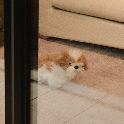 neg_nnn's profile picture. @inunennrei