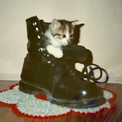 KimXi_on's profile picture. 