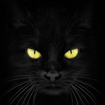 kink5621572321's profile picture. 