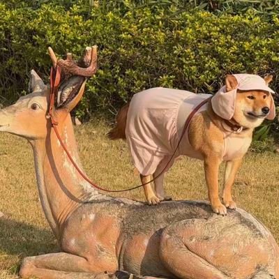 zhangsa76777406's profile picture. 情侣，常驻青岛，偶尔在济南。176/165 70/49 29/21。颜值中上，拒胖拒丑。随缘寻夫妻情侣交流活动。单打招呼请做详细自我介绍，没有一律不回。