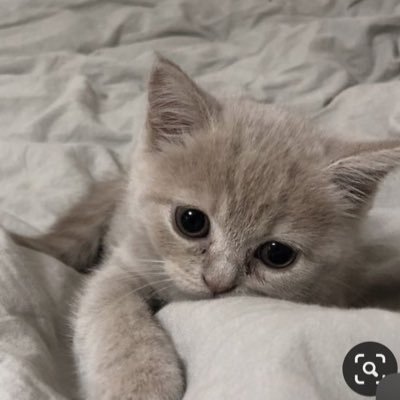 forever_24chai's profile picture. Instagram：@ 224.m__