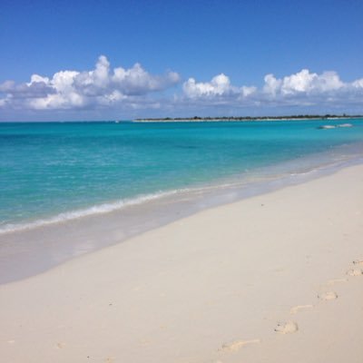 Tonylopo's profile picture. Just a health freak.