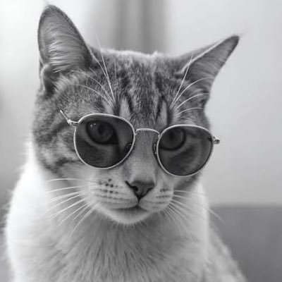 UNDisputed_Gems's profile picture. Alpha Caller || Crypto investor || #Cryptocurrency #Memecoins Maxi || Shill me 10-1000x Gems💎 from https://t.co/rgoEt0xZyL Entry Call poster🚀🚀