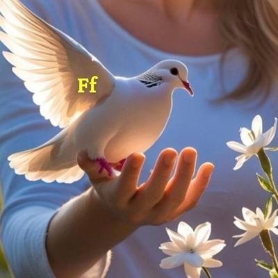 hsn4494's profile picture. bitiyliy