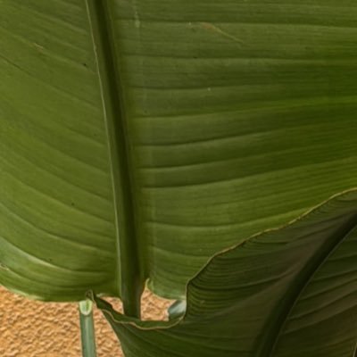 azdineperso's profile image