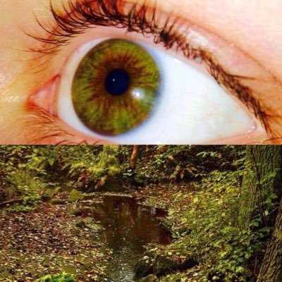 anpeogry's profile picture. RPS 20↑