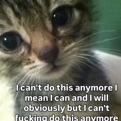 sodapopfizzie's profile picture. bleh | 9teen :3 | they/she