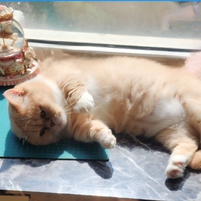 Zoe_somsom's profile picture. 10깅 좋아