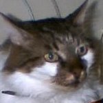 Tanguy826021531's profile picture. 