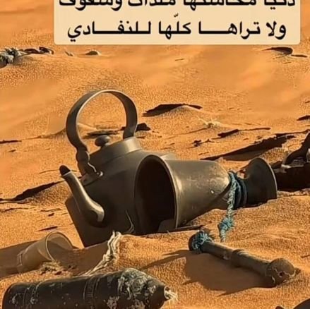 altmancody2's profile picture. 