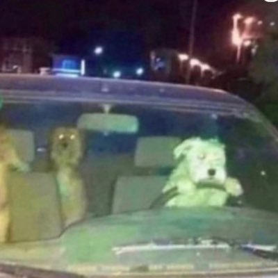 shanetweeted's profile picture. 