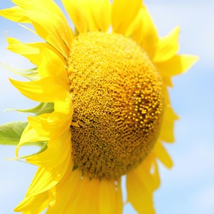 aarnaaugusta's profile picture. 