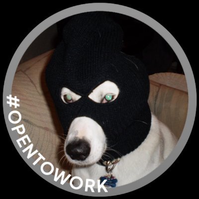 Doggy404x's profile picture. New to trenching