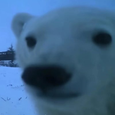 AeroooX's profile picture. 26 - Car's and nature lover 🍂