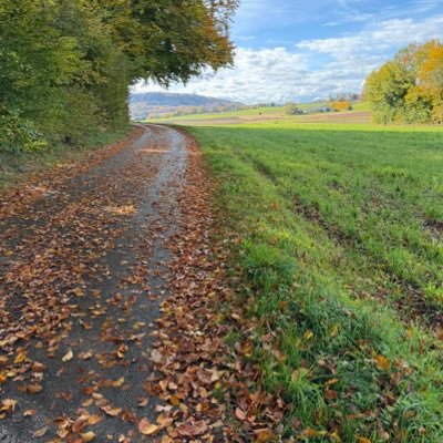 philipwx's profile picture. 