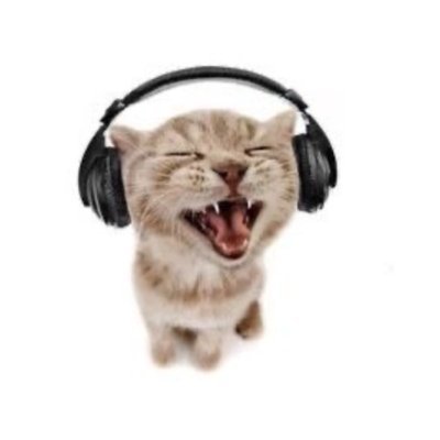 archivexani's profile picture. by @marcelwnho.