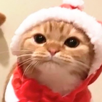 CassndraEffect's profile picture. 