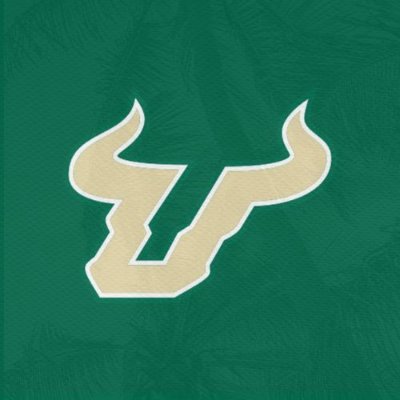 SouthFloridaTFL's profile picture. The Official Twitter of the University of South Florida Bulls TFL Team #ComeToTheBay