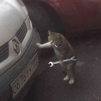 azertyx09876's profile picture. 