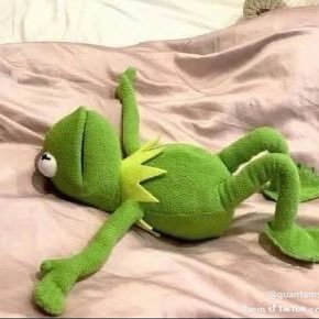 Flor_theFrog's profile picture. 