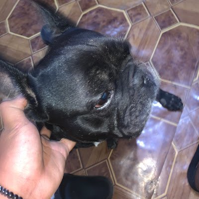 neculaii342's profile picture. 