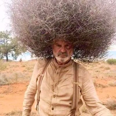 manincrypt's profile picture. 